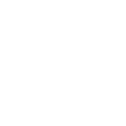 白い円